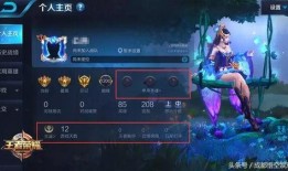 王者独家爆料视频大全最新,揭秘最新视频大全背后的精彩瞬间